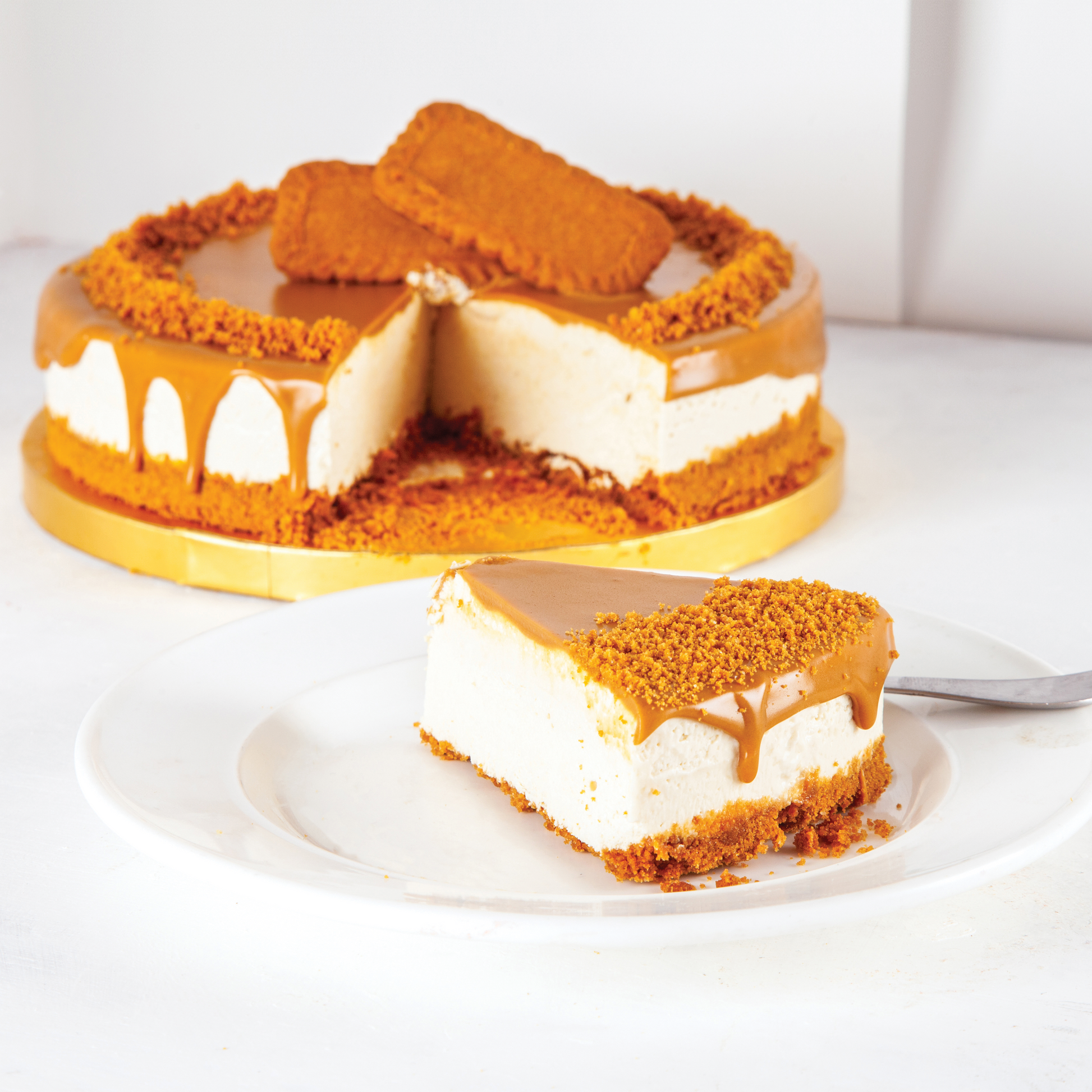 Cookie Butter Biscuit Crumbs – 26.45lb