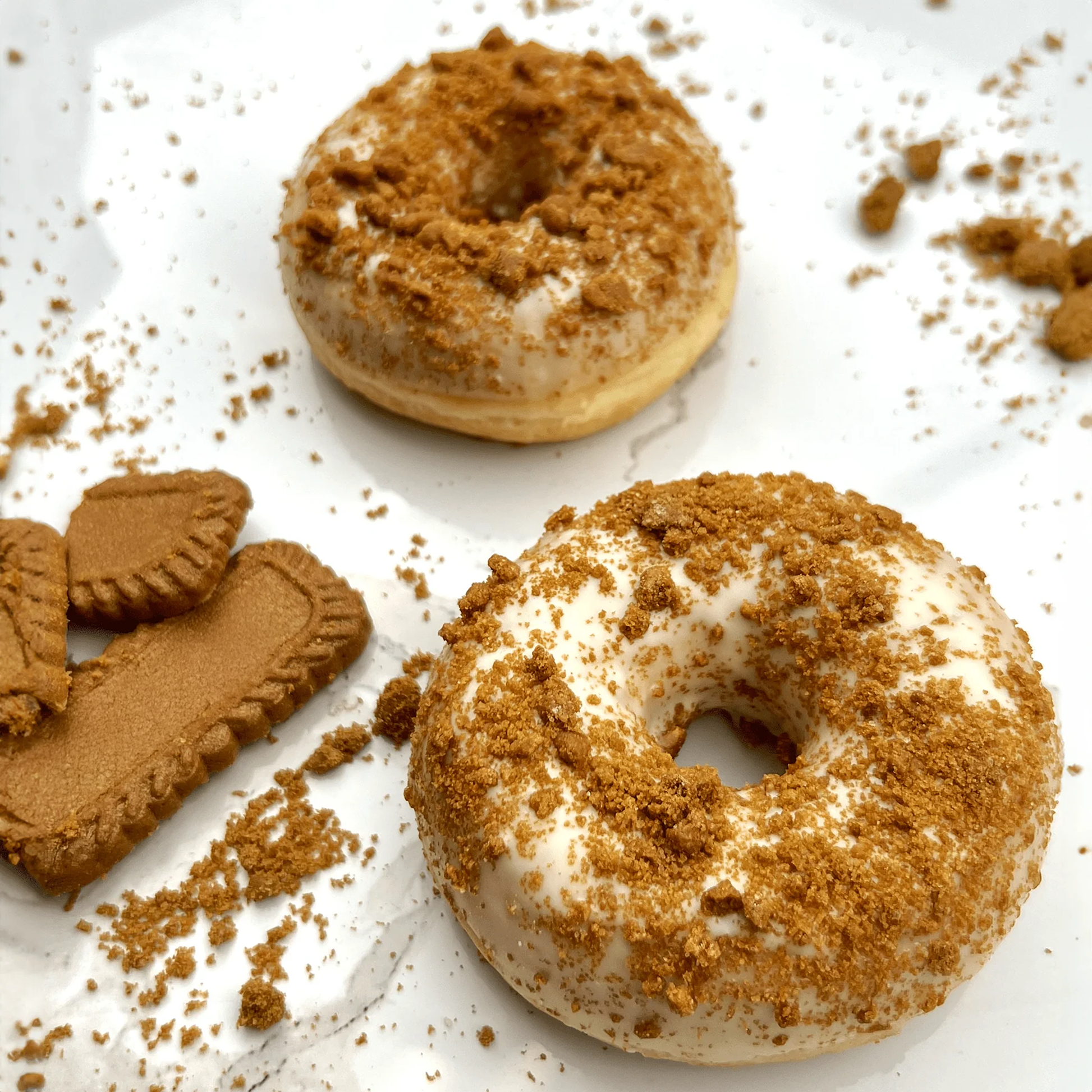 Cookie Butter Biscuit Crumbs – 26.45lb